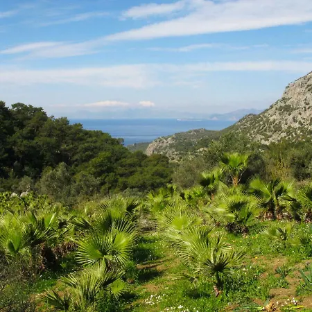 אכסניה Palm House Dalyan