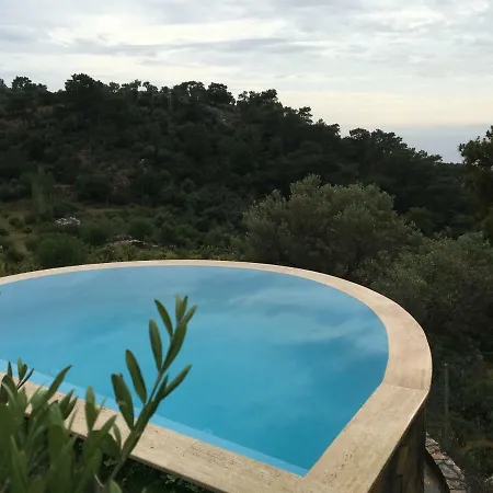 אכסניה Palm House Dalyan *