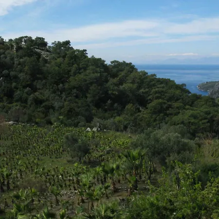 Palm House Dalyan Lodge Ortaca (Mugla)