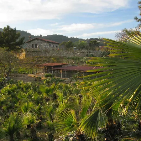 Palm House Dalyan *